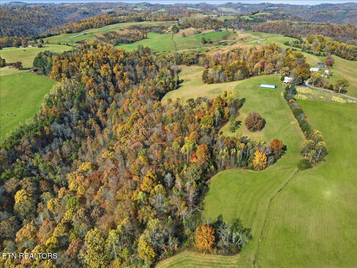 Tbd Oak Grove Church Road Harrogate TN 37752