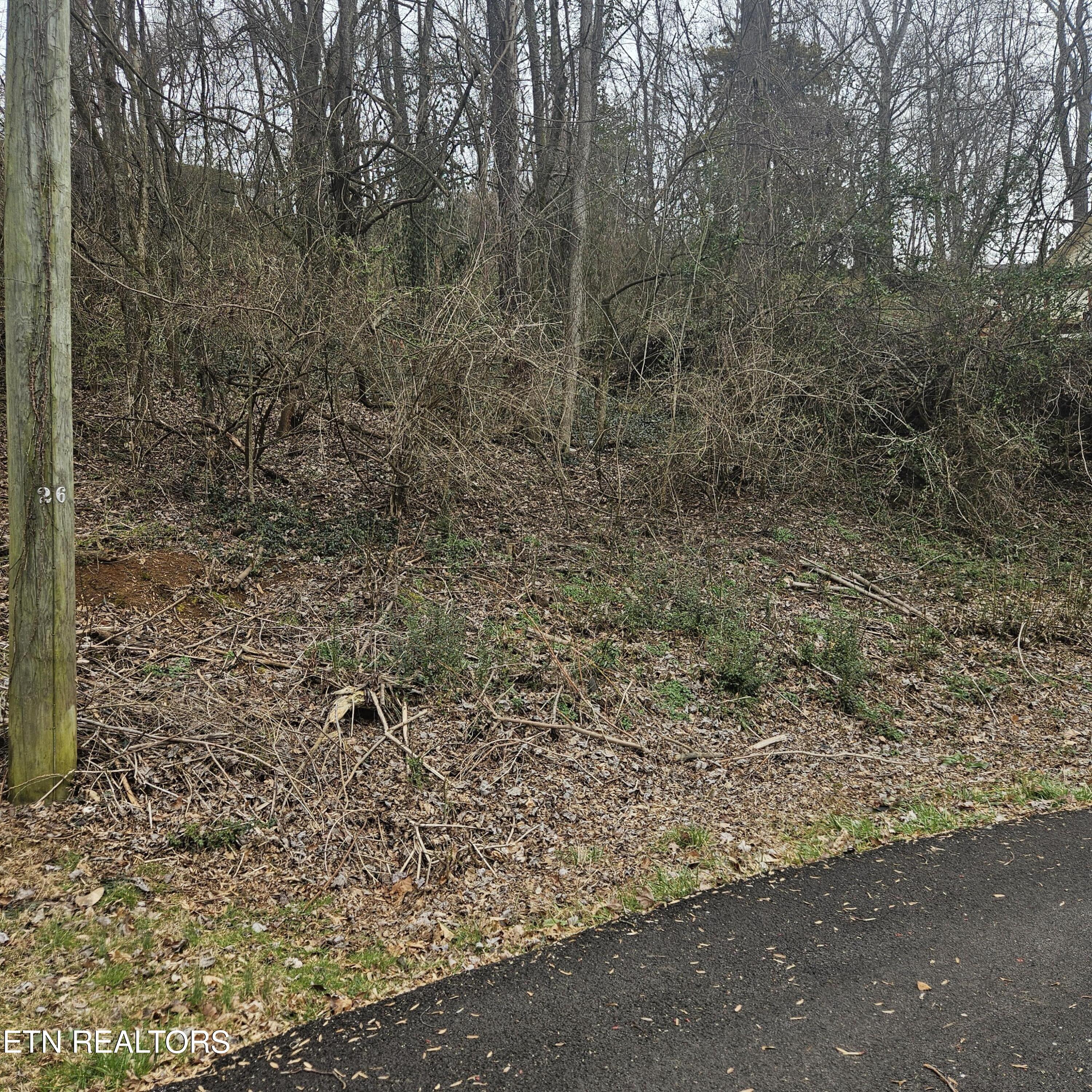 Cherokee Trail Seymour TN 37865