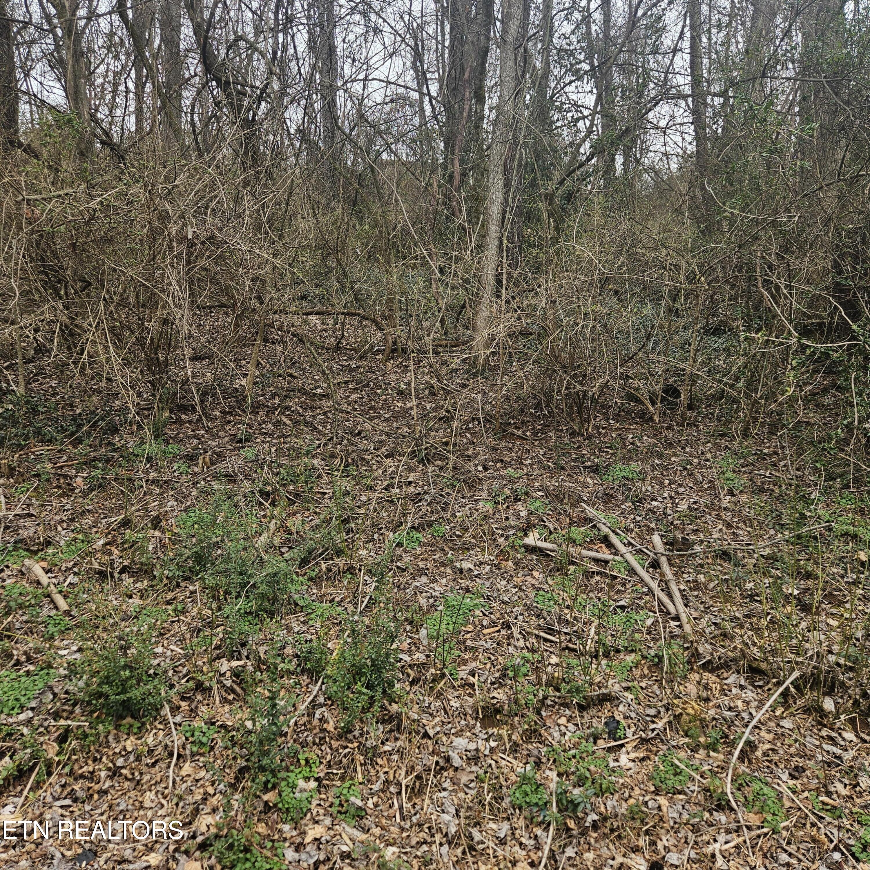 Cherokee Trail Seymour TN 37865