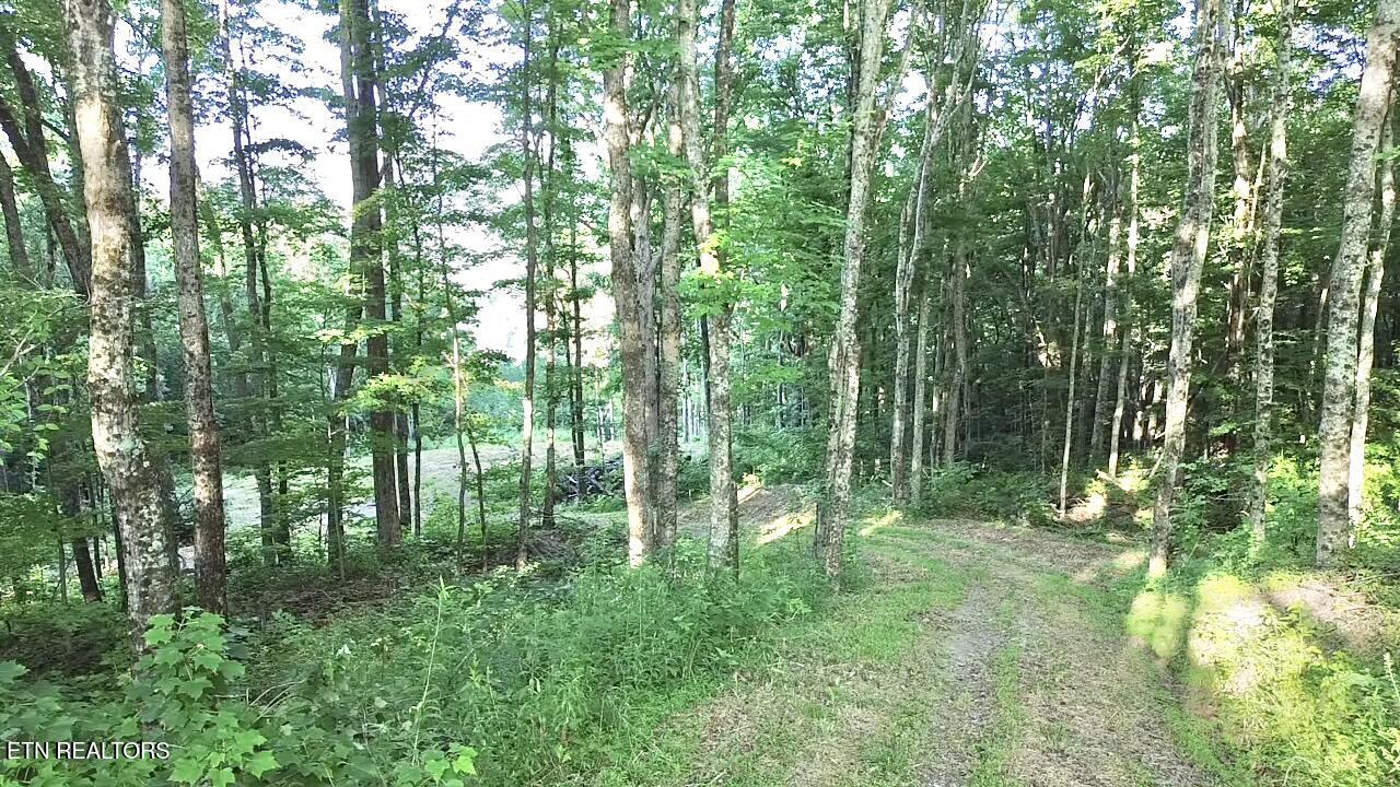183 Persimmon Lane Pioneer TN 37847