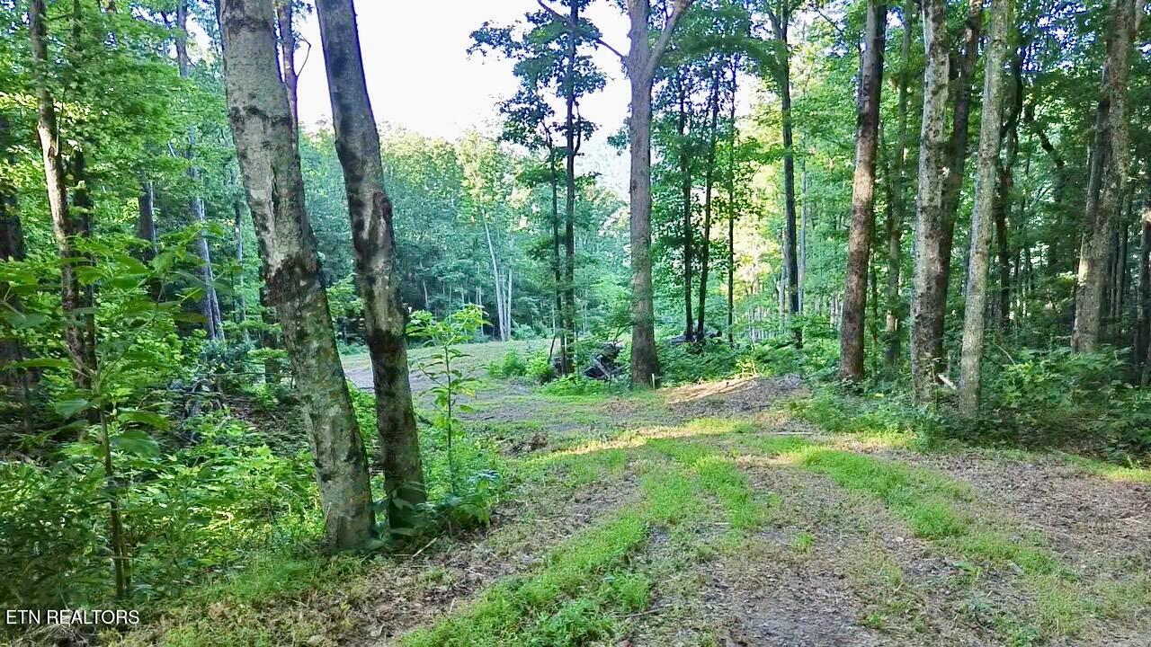 183 Persimmon Lane Pioneer TN 37847