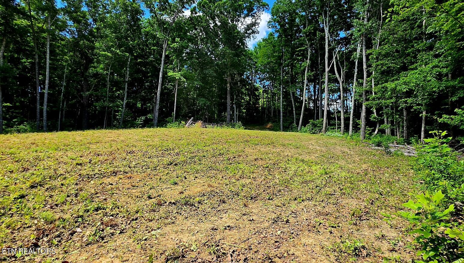 183 Persimmon Lane Pioneer TN 37847