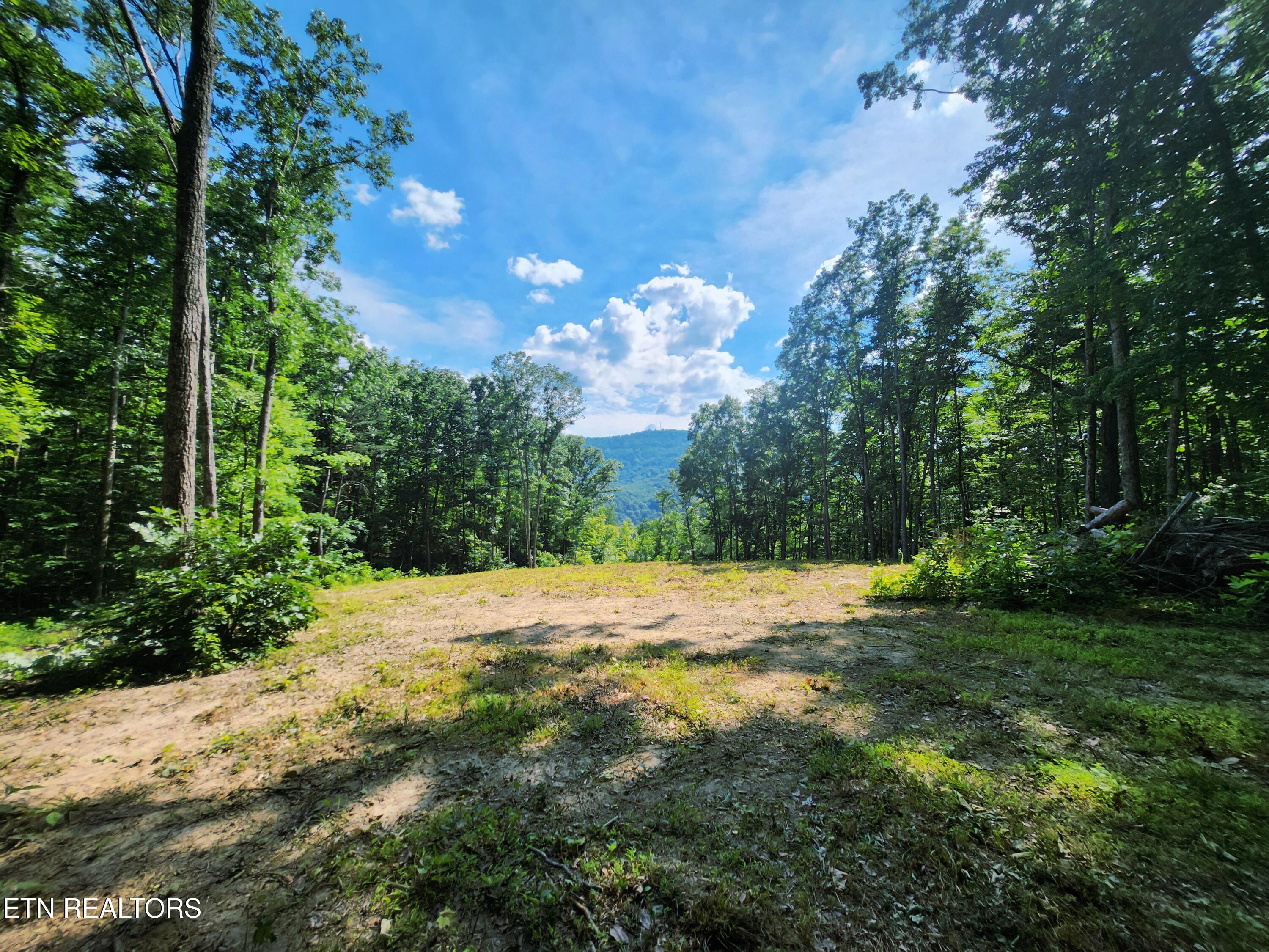 183 Persimmon Lane Pioneer TN 37847