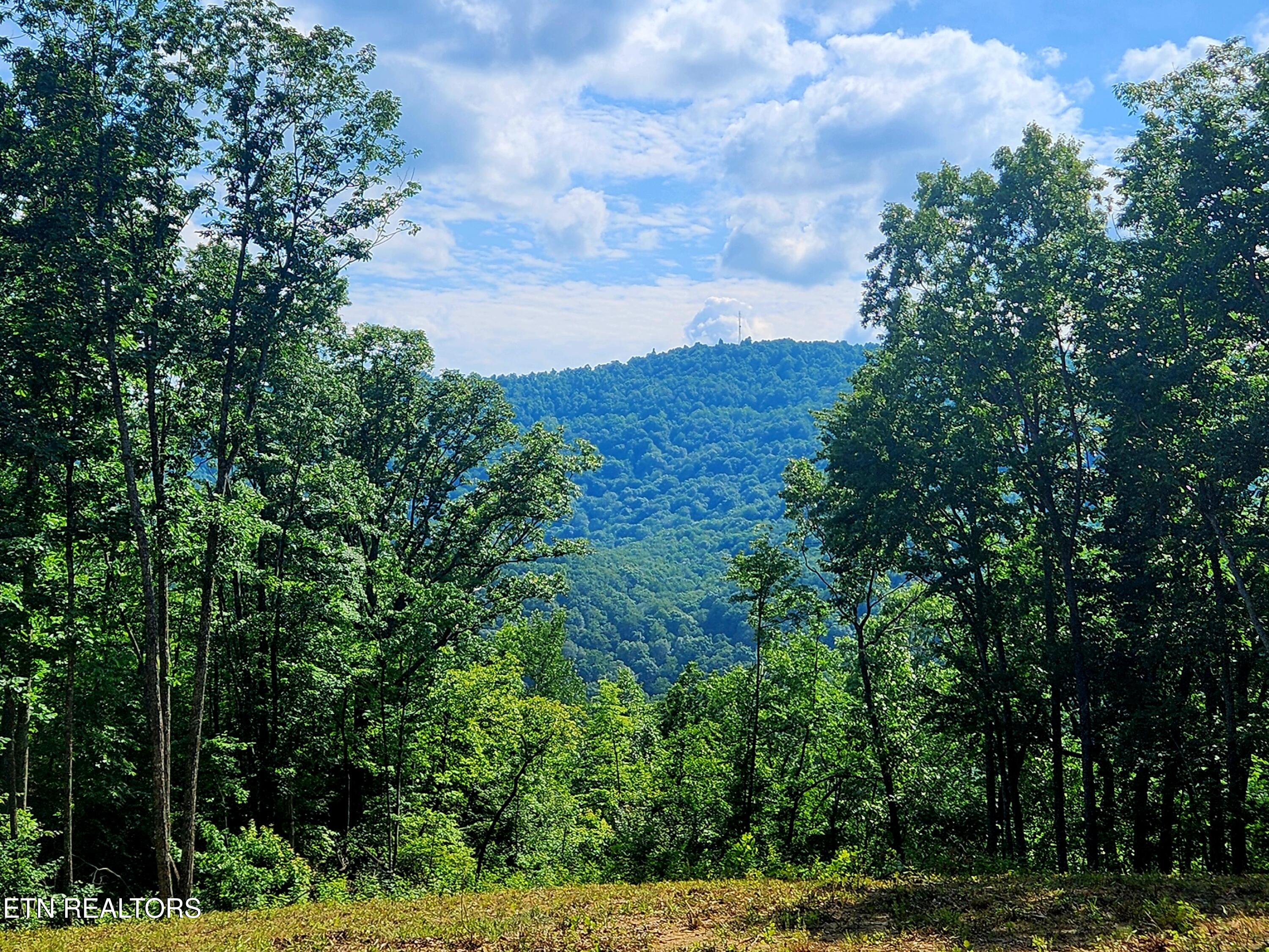 183 Persimmon Lane Pioneer TN 37847