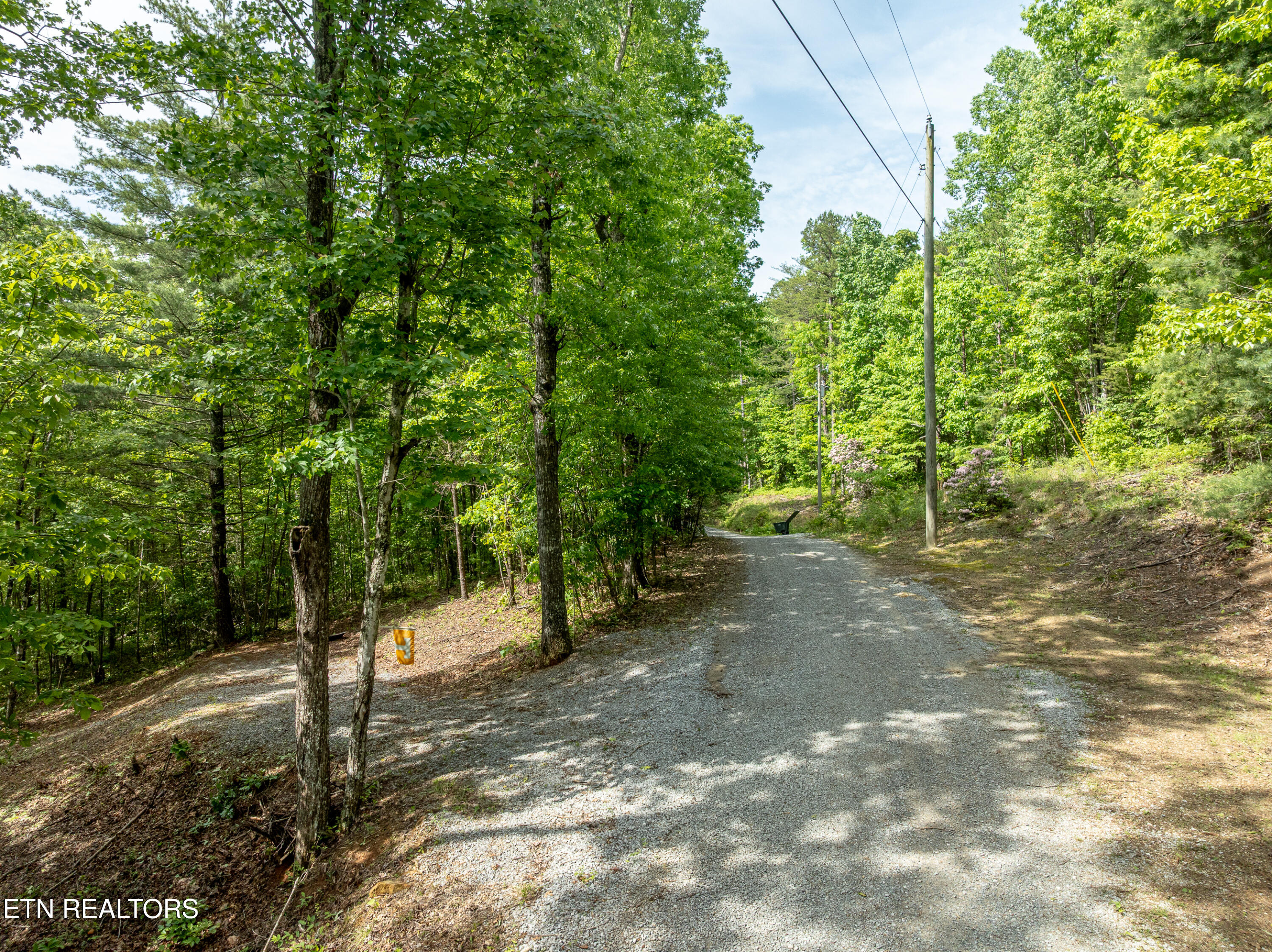 6163 Sandy Stand Road Tallassee TN 37878