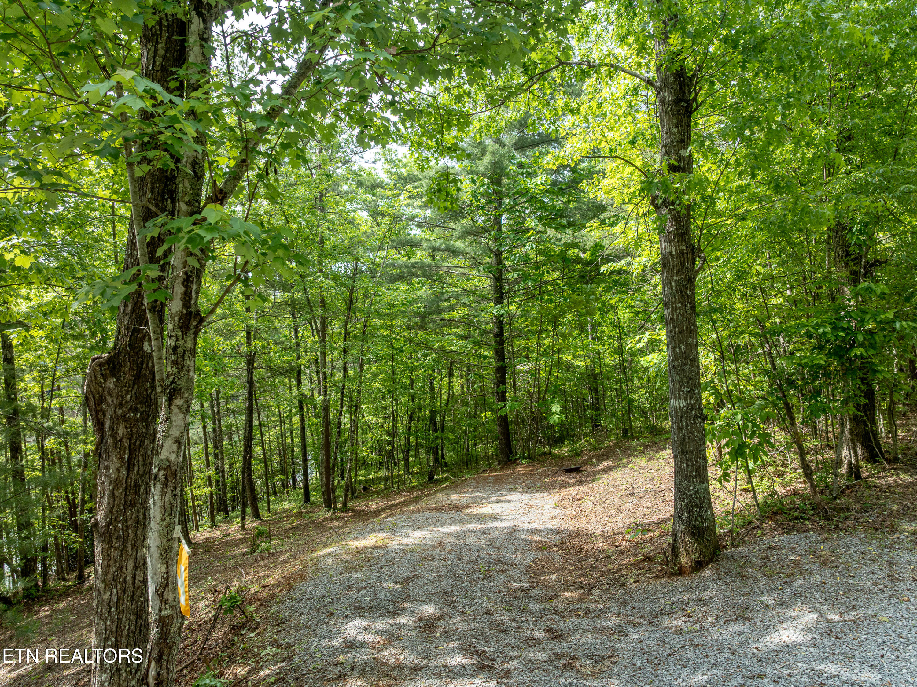 6163 Sandy Stand Road Tallassee TN 37878