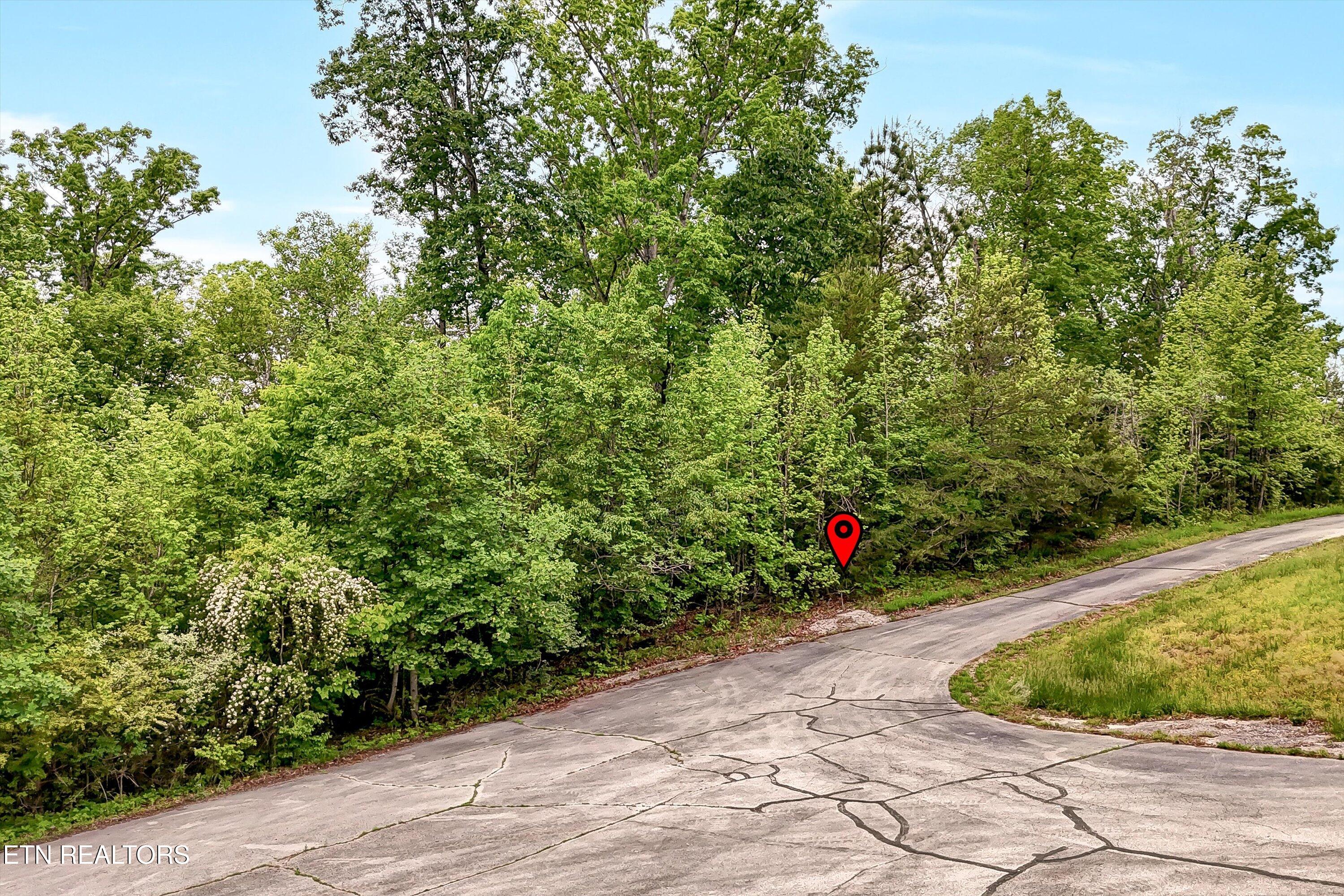 Emory Pointe Lane Harriman TN 37748