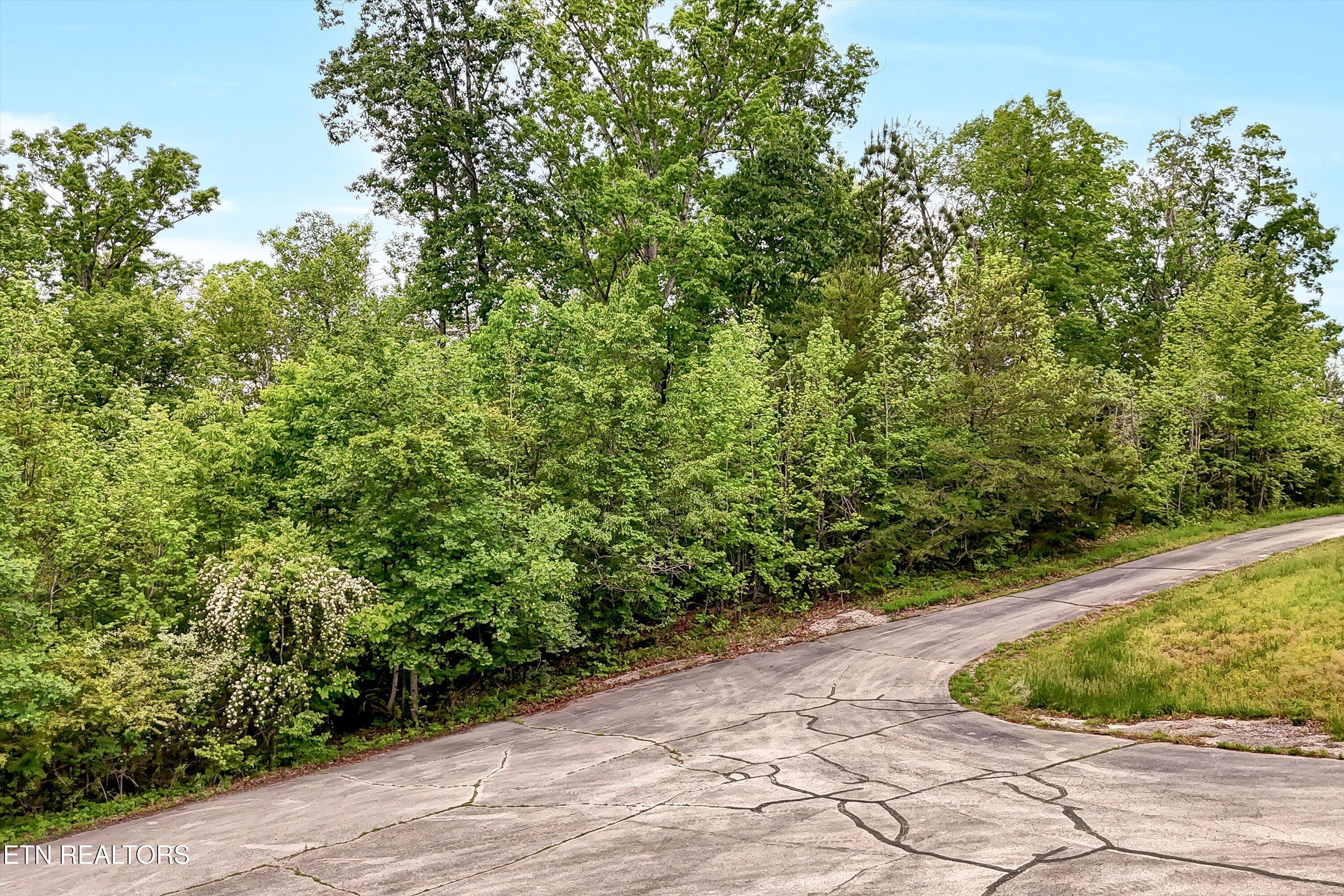 Emory Pointe Lane Harriman TN 37748