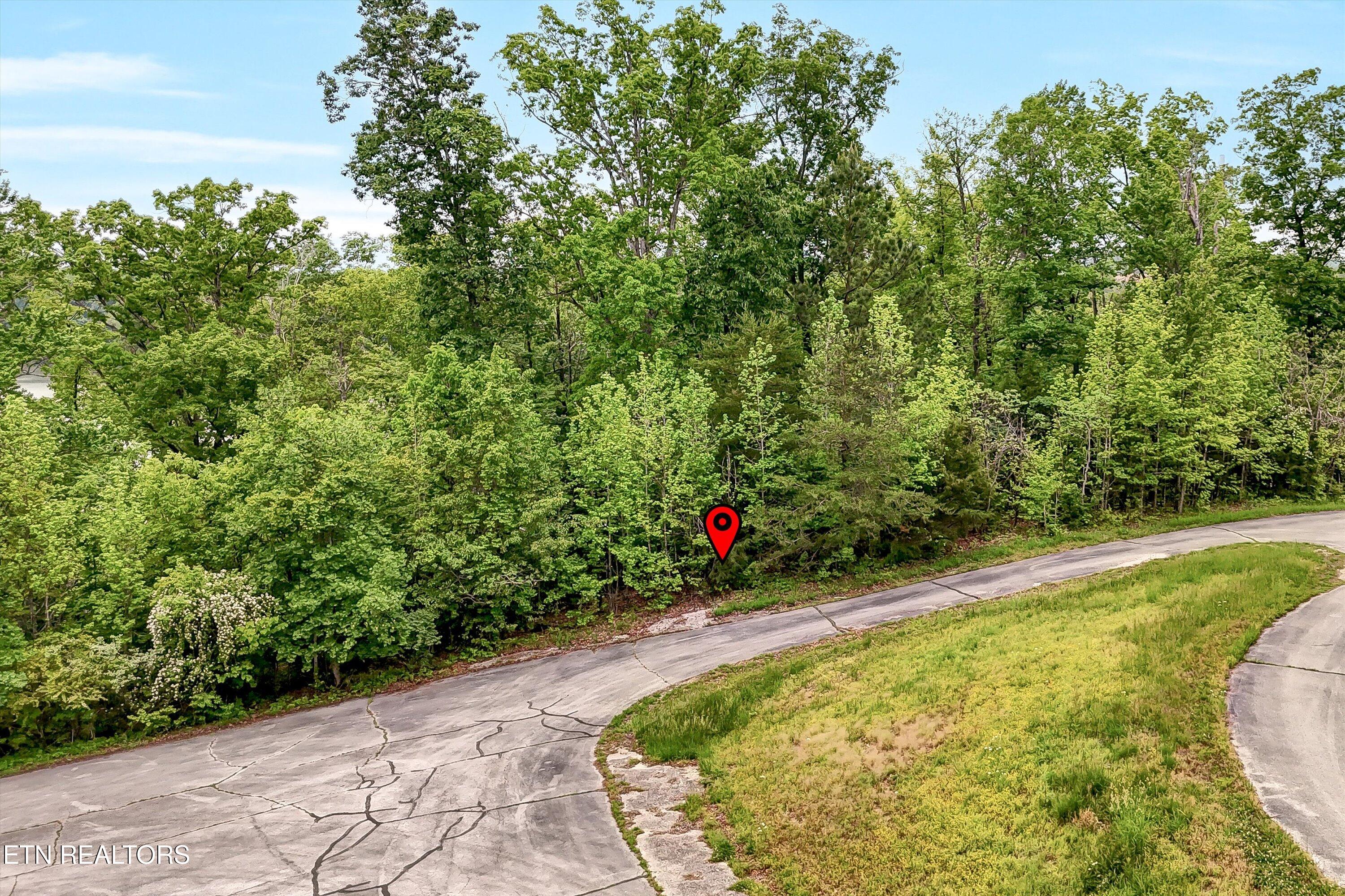 Emory Pointe Lane Harriman TN 37748