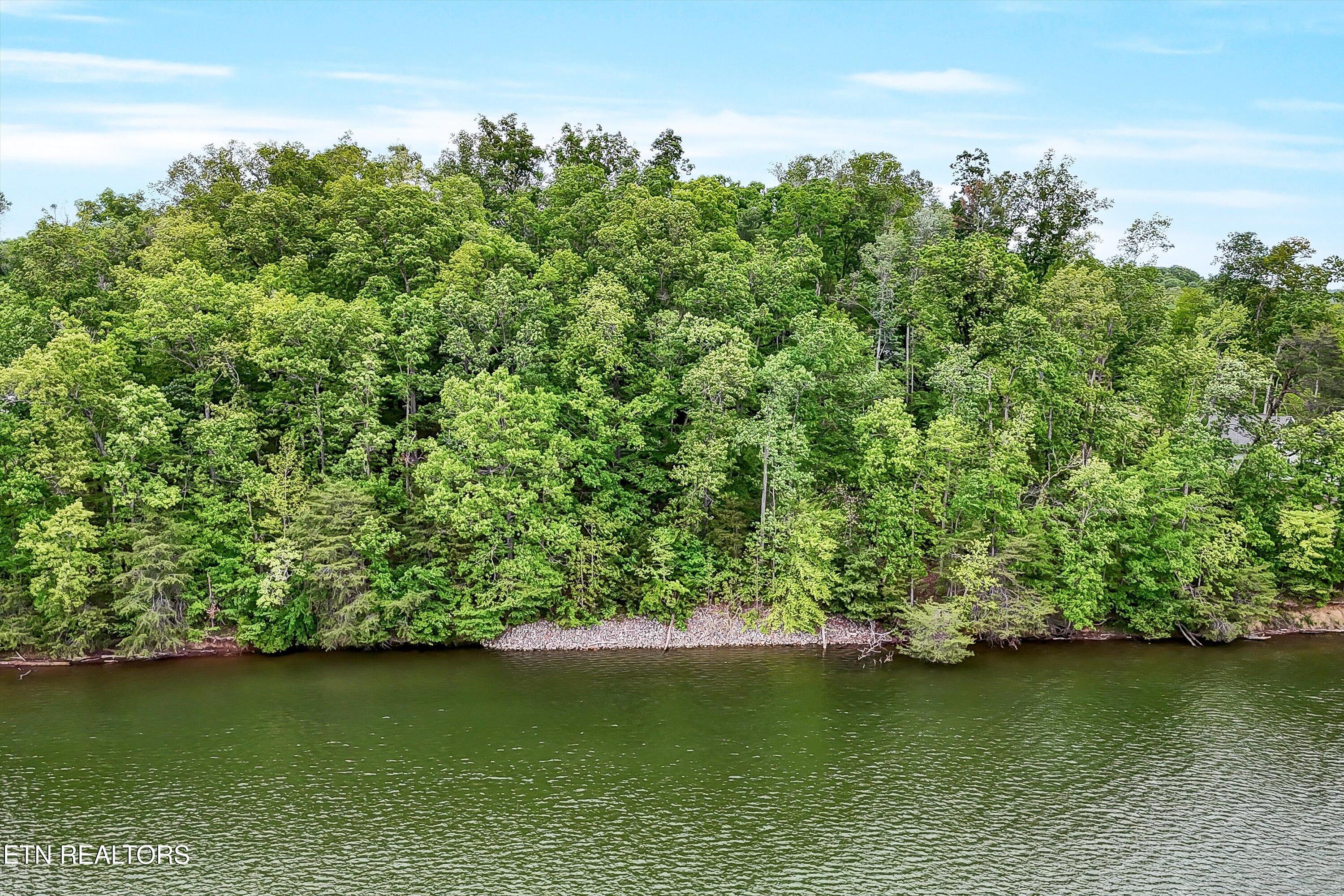 Emory Pointe Lane Harriman TN 37748