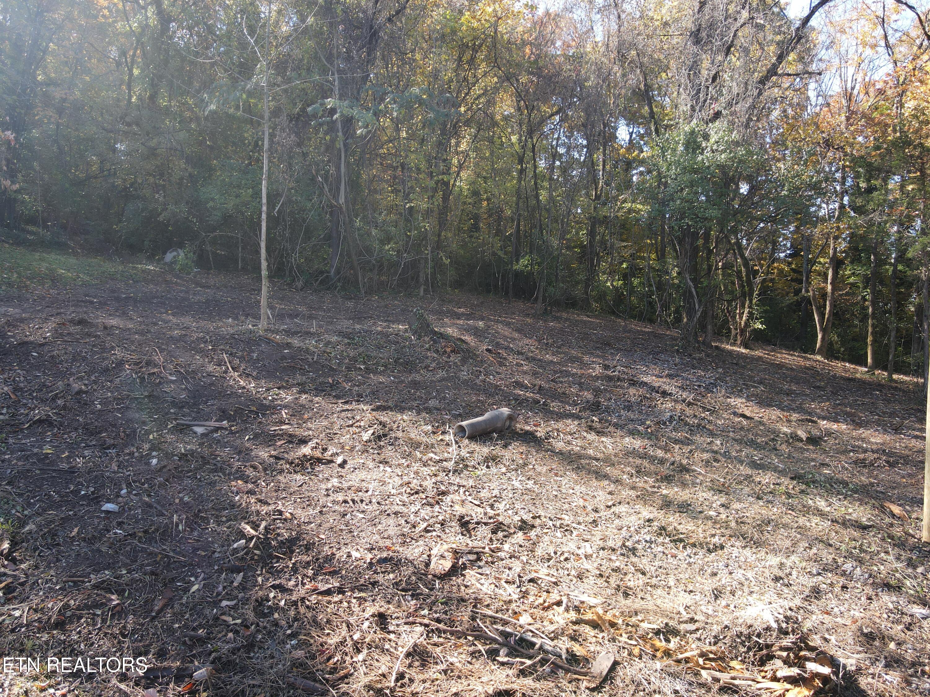 Richmond Avenue Knoxville TN 37921
