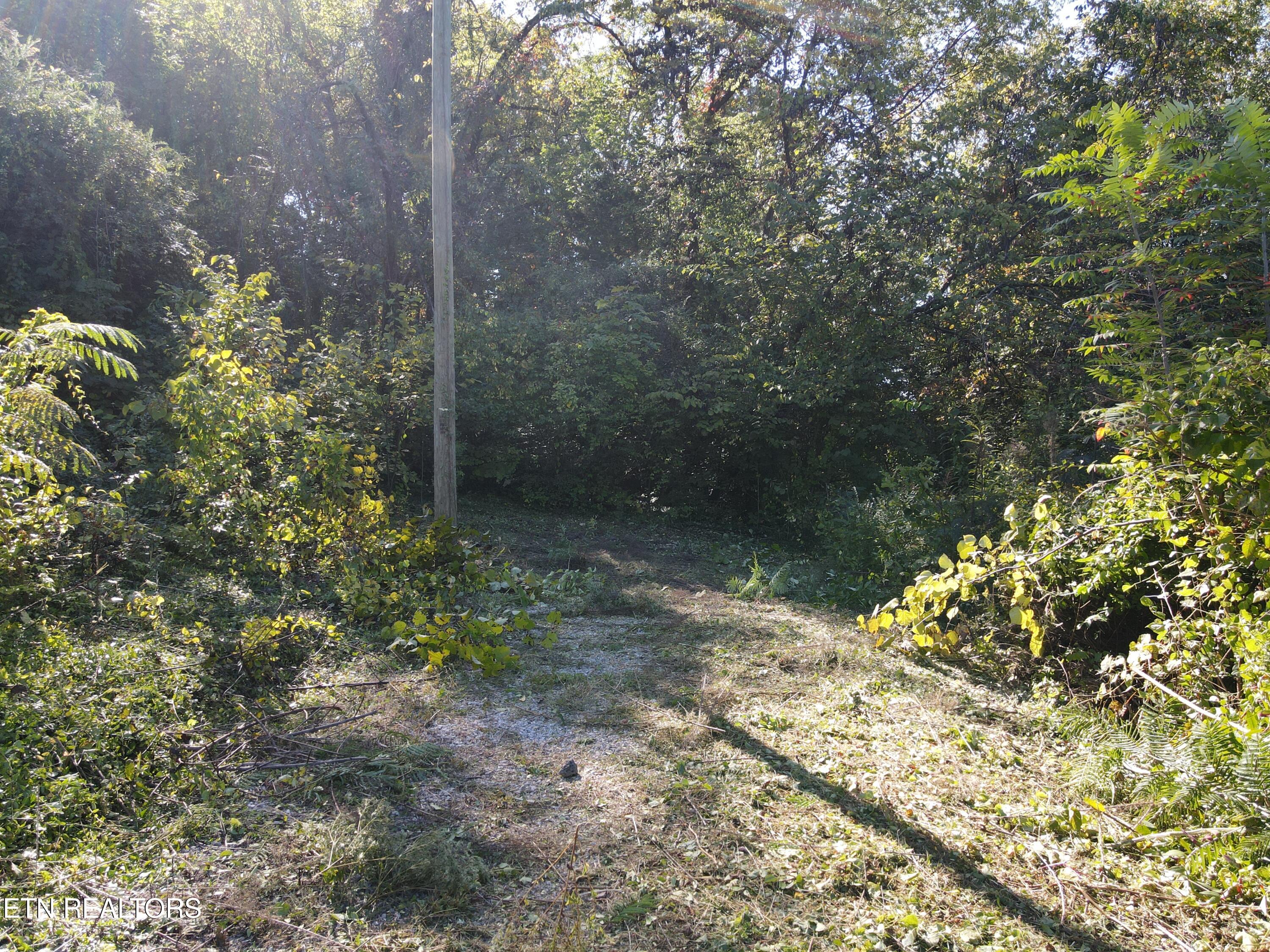 Richmond Avenue Knoxville TN 37921