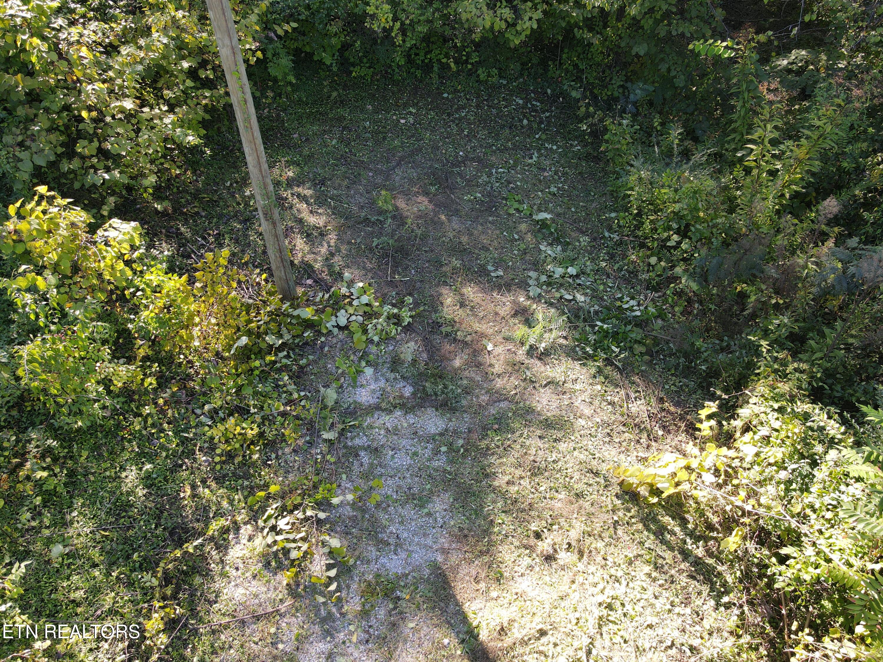 Richmond Avenue Knoxville TN 37921