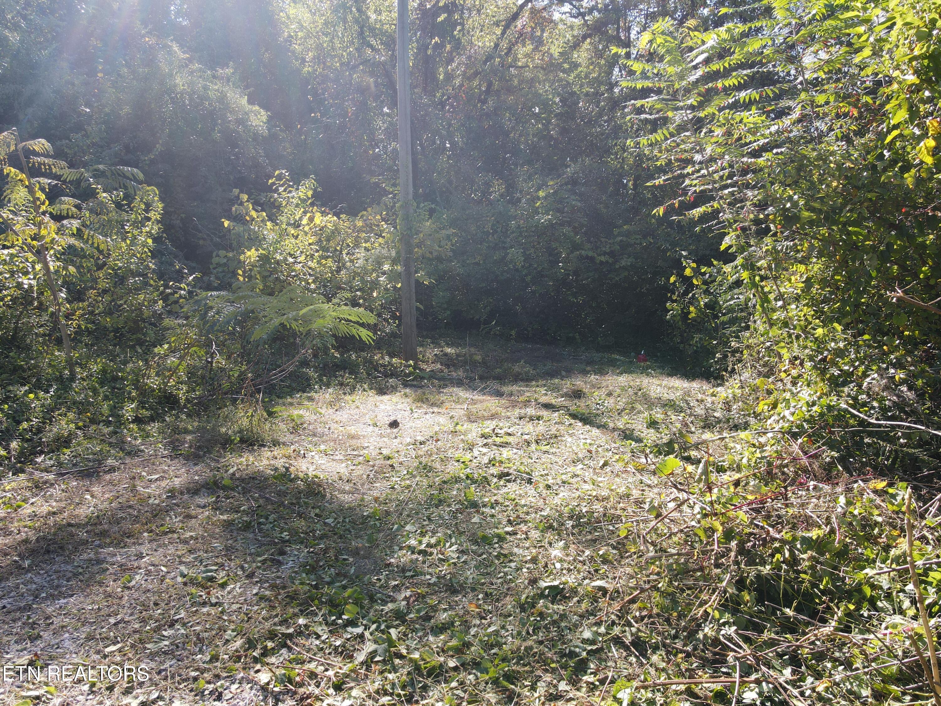 Richmond Avenue Knoxville TN 37921