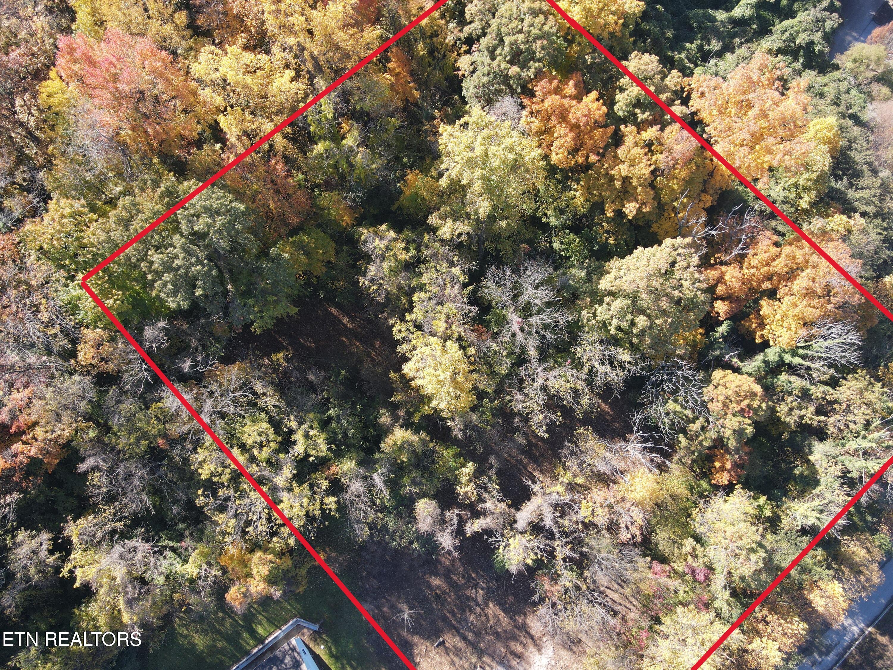 Richmond Avenue Knoxville TN 37921