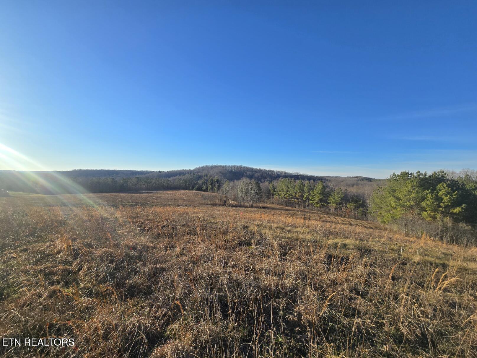 Lot 5a Honey Creek Road Robbins TN 37852