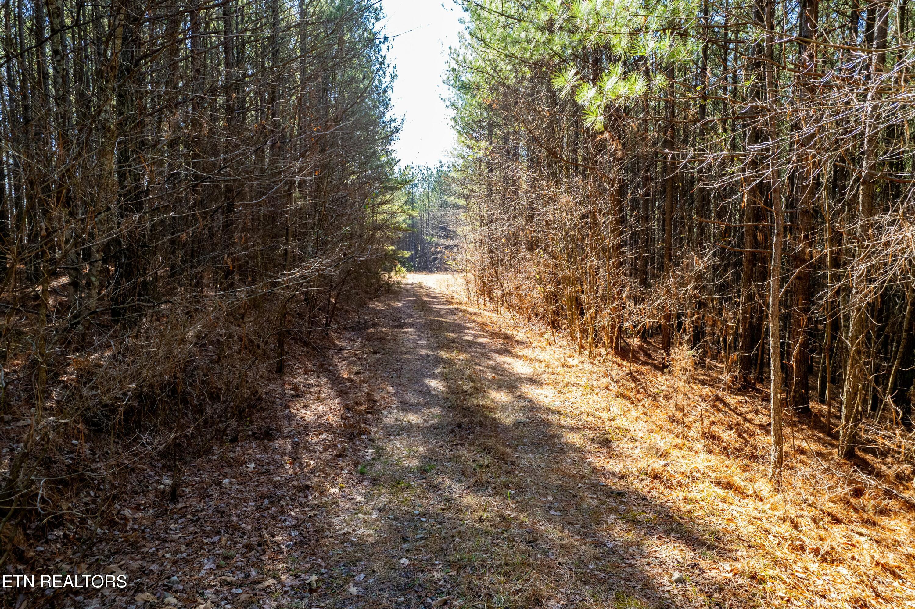 Airport Road Lot 10 Rockwood TN 37854