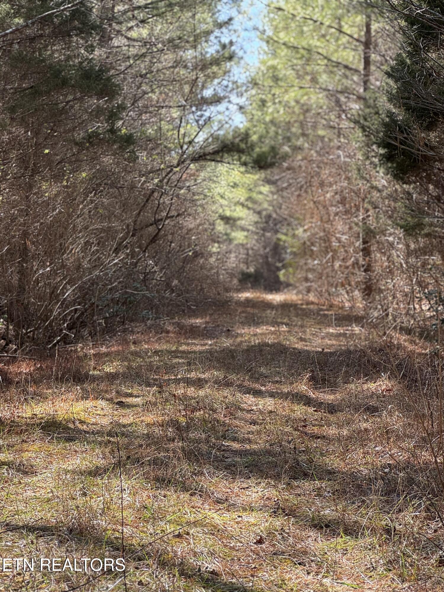 Sam Summers Road Rockwood TN 37854