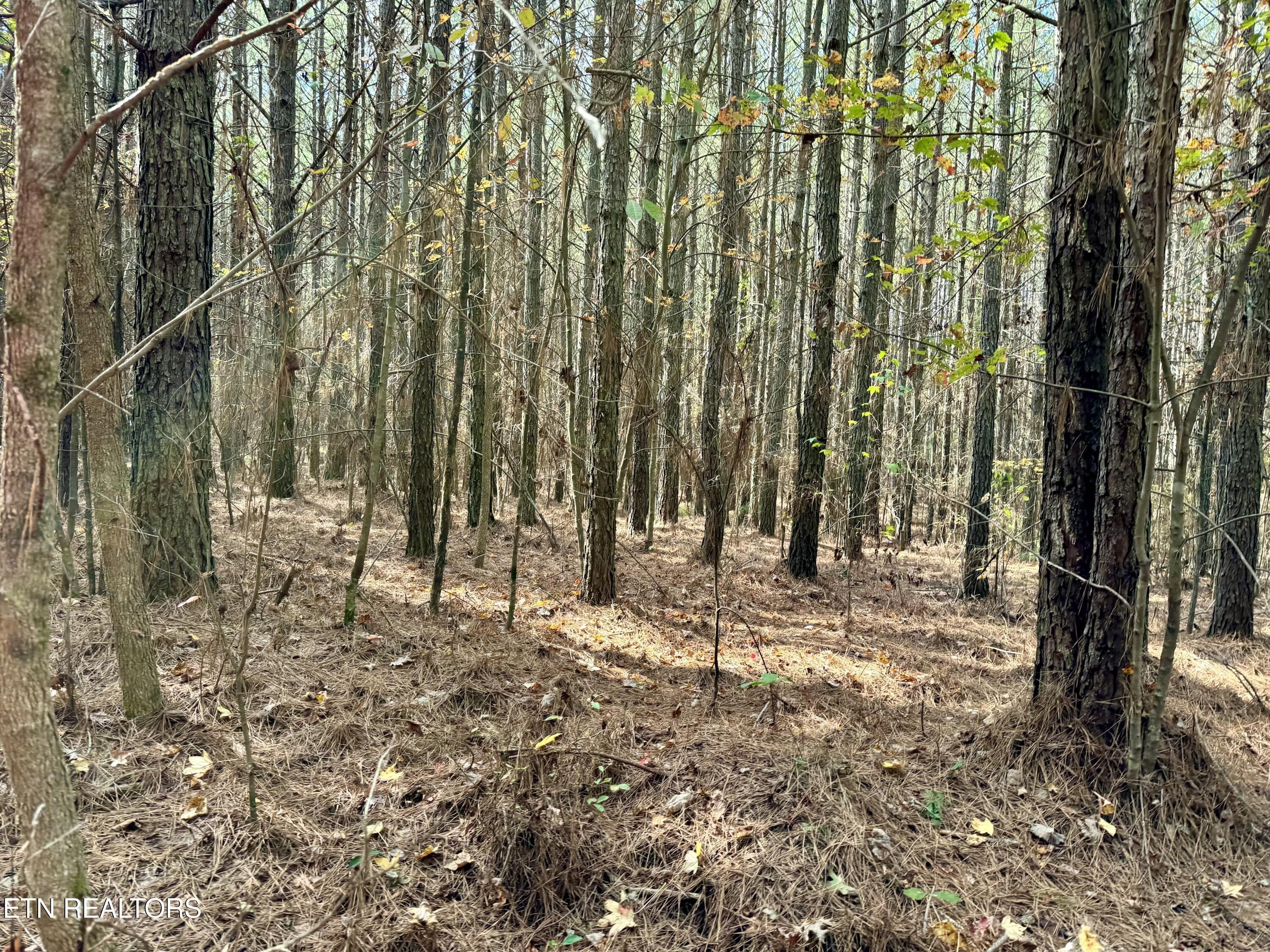 Sam Summers Road Rockwood TN 37854