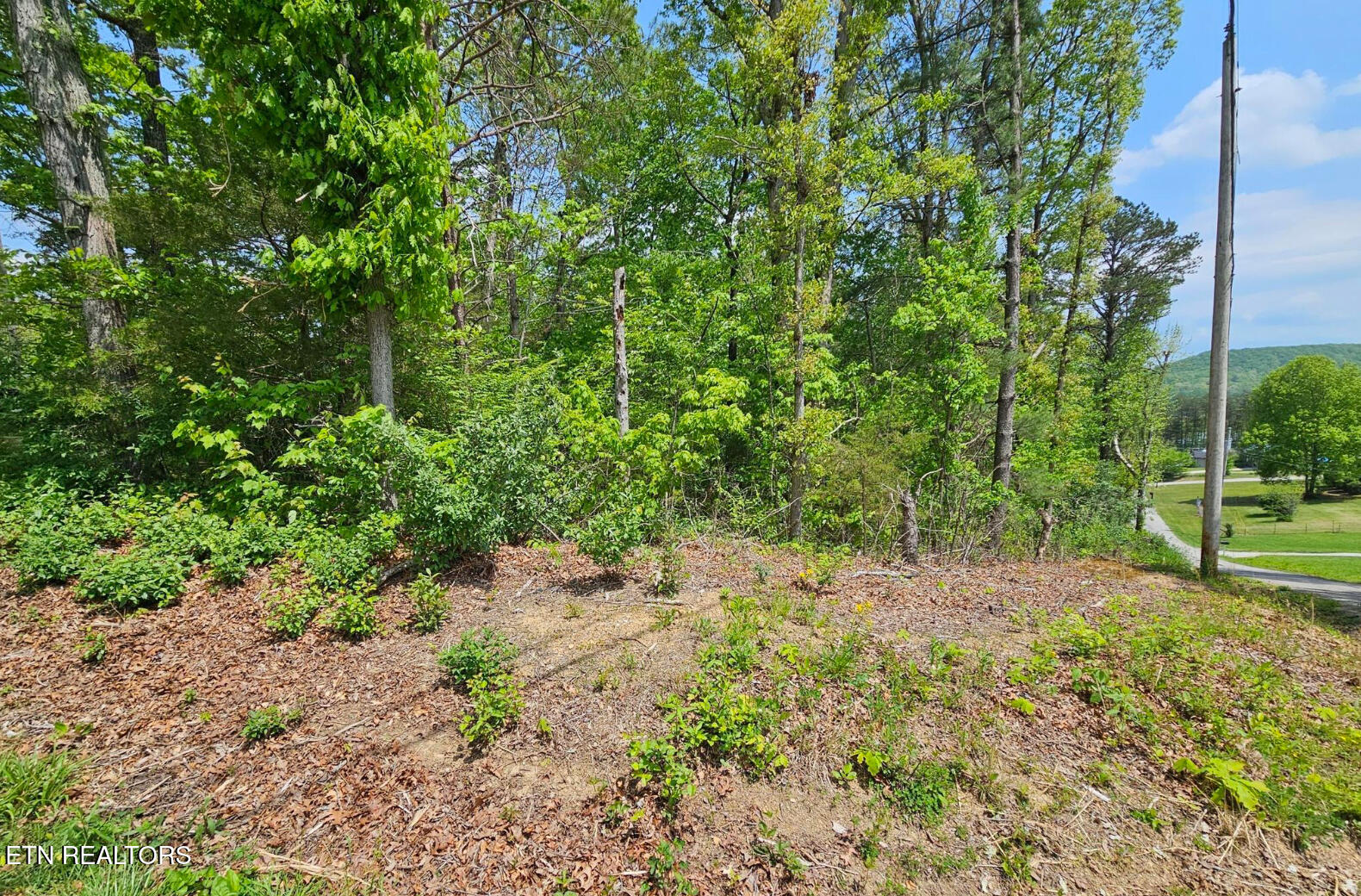 Sutherland Drive Helenwood TN 37755