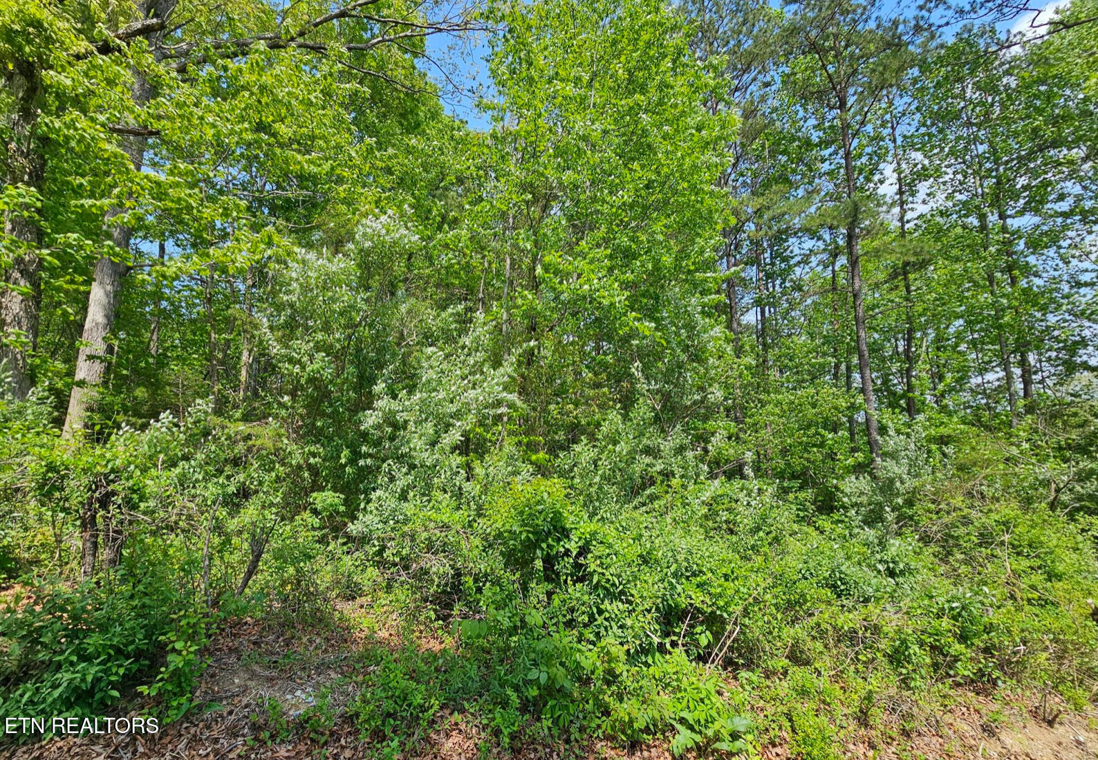 Sutherland Drive Helenwood TN 37755
