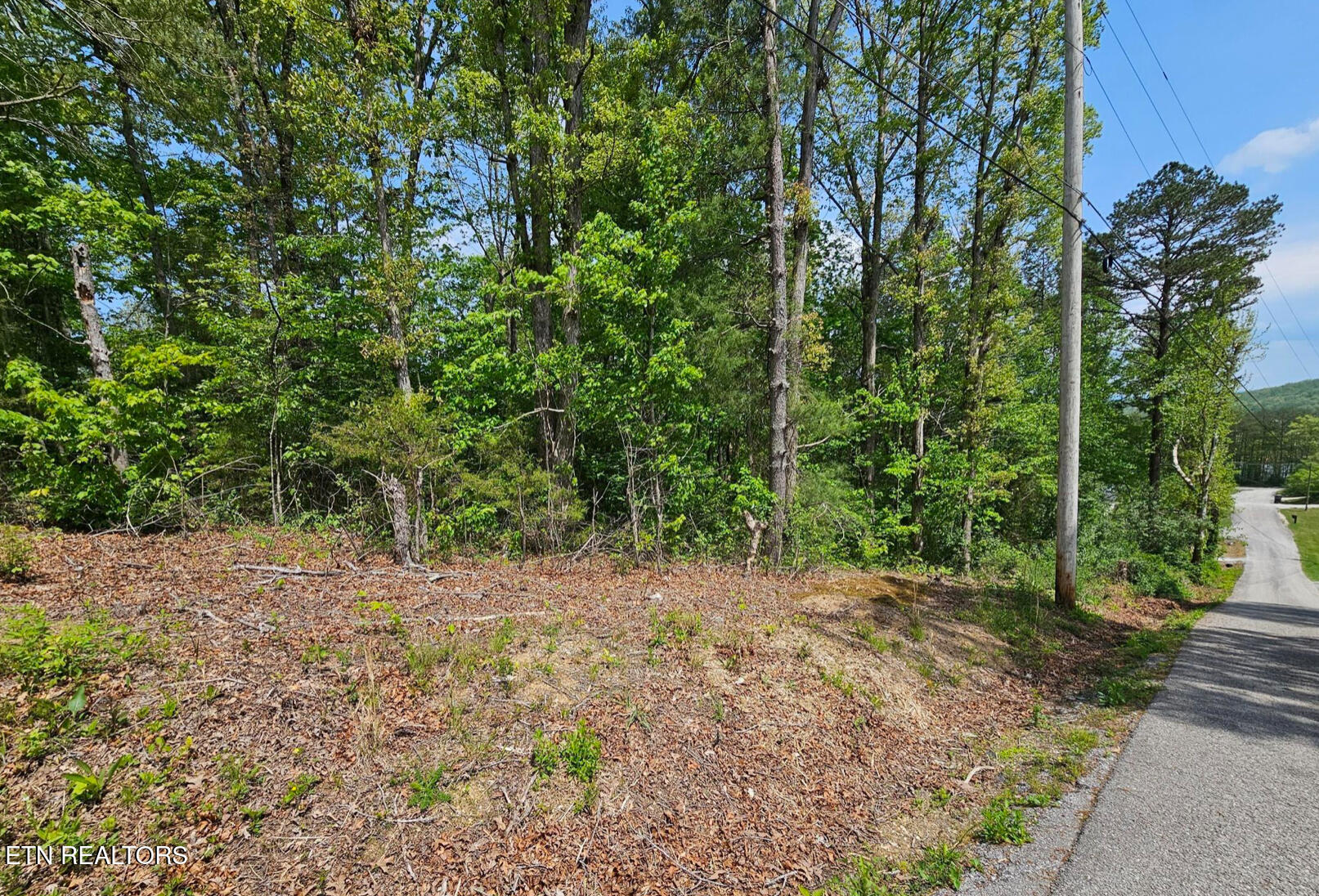 Sutherland Drive Helenwood TN 37755
