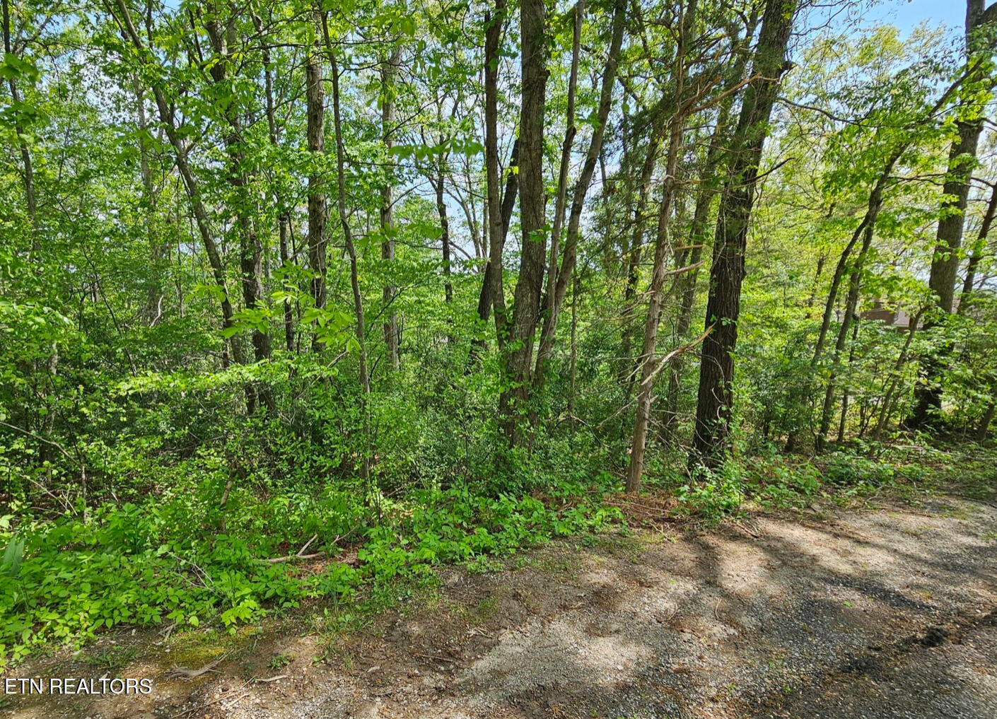 Sutherland Drive Helenwood TN 37755