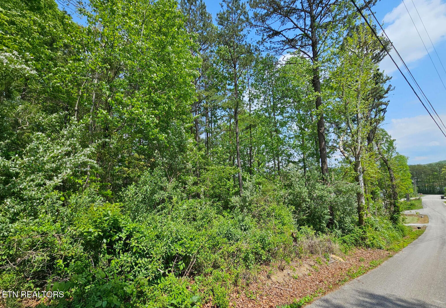 Sutherland Drive Helenwood TN 37755
