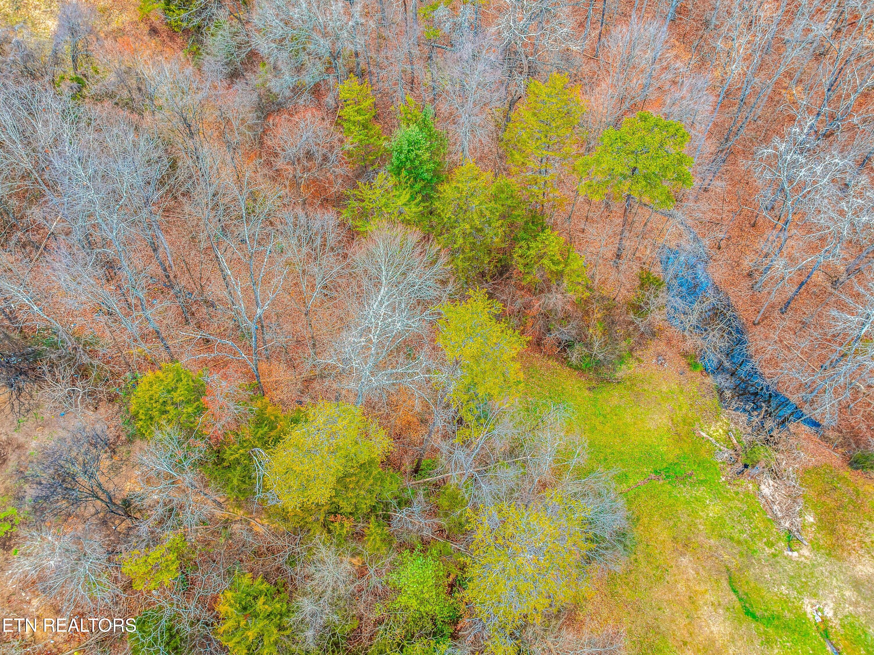 0 Highway 321 Newport TN 37821
