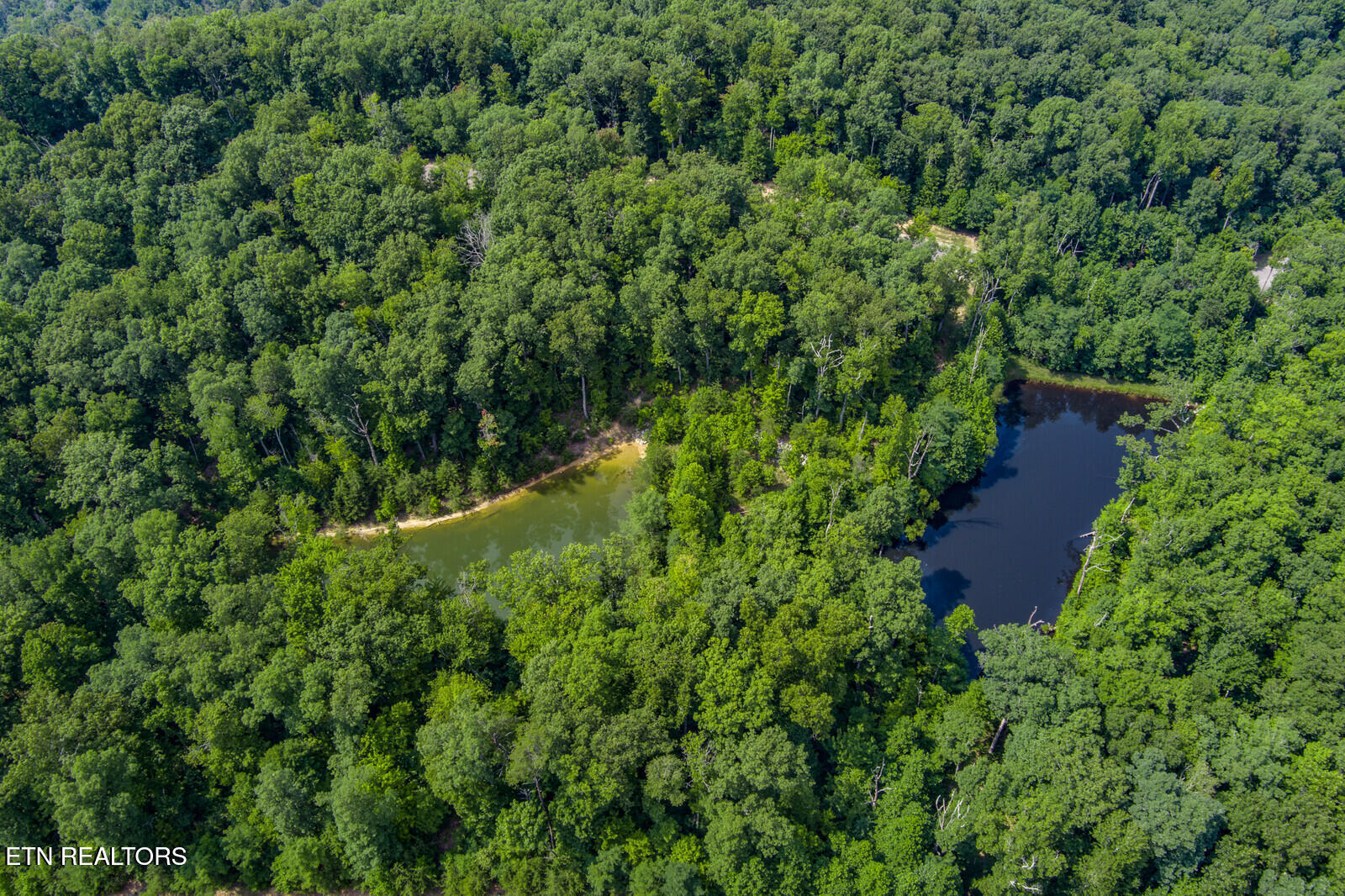 119 Westridge Trail Monterey TN 38574