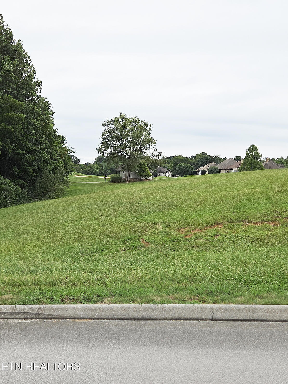 148 White Hawk Drive Vonore TN 37885