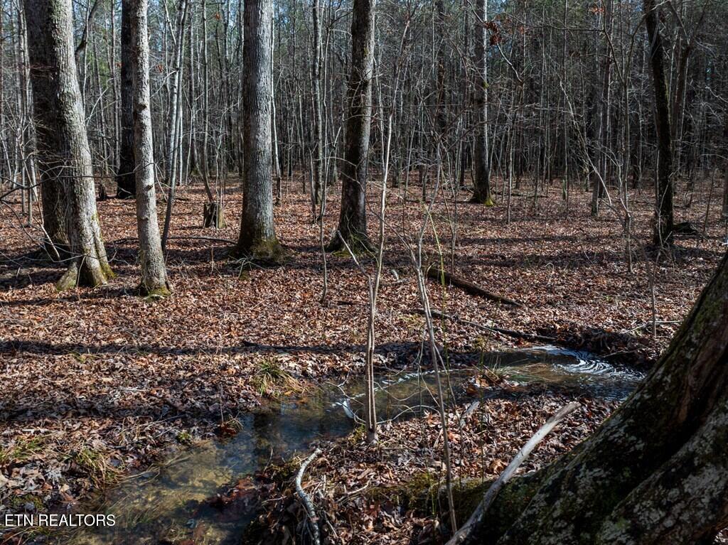 Lot 6 Forest View Drive Spencer TN 38585