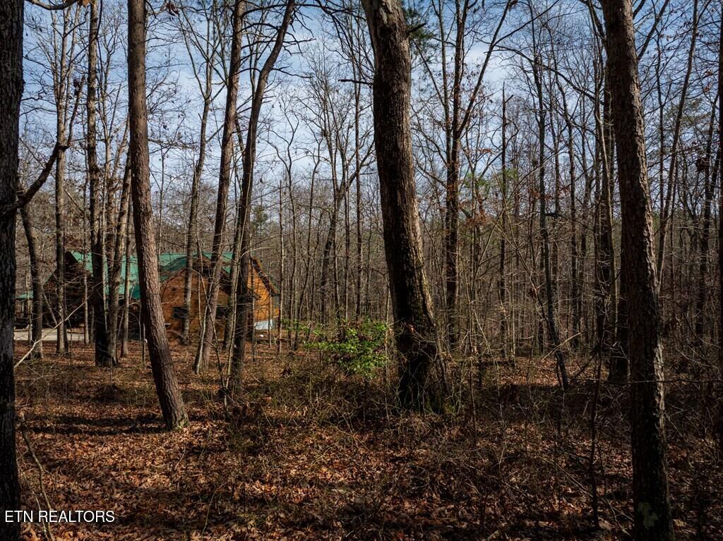 Lot 6 Forest View Drive Spencer TN 38585