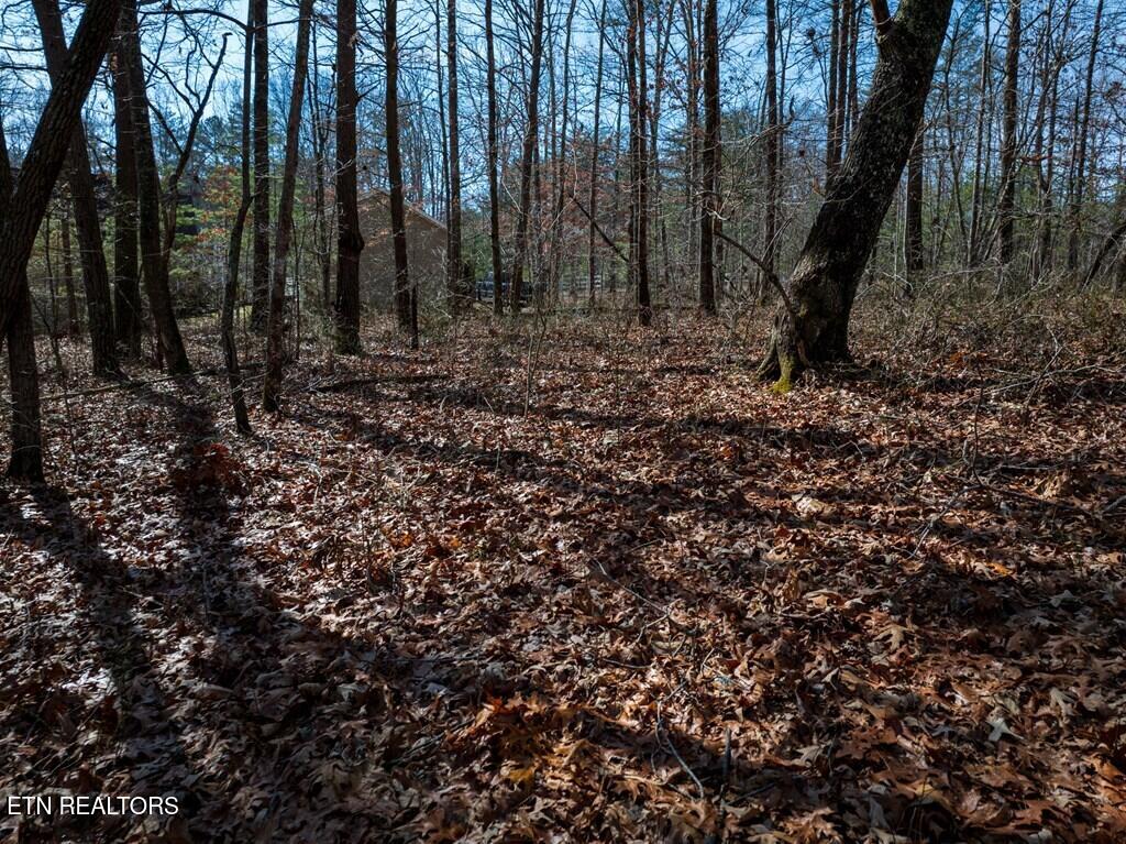 Lot 6 Forest View Drive Spencer TN 38585