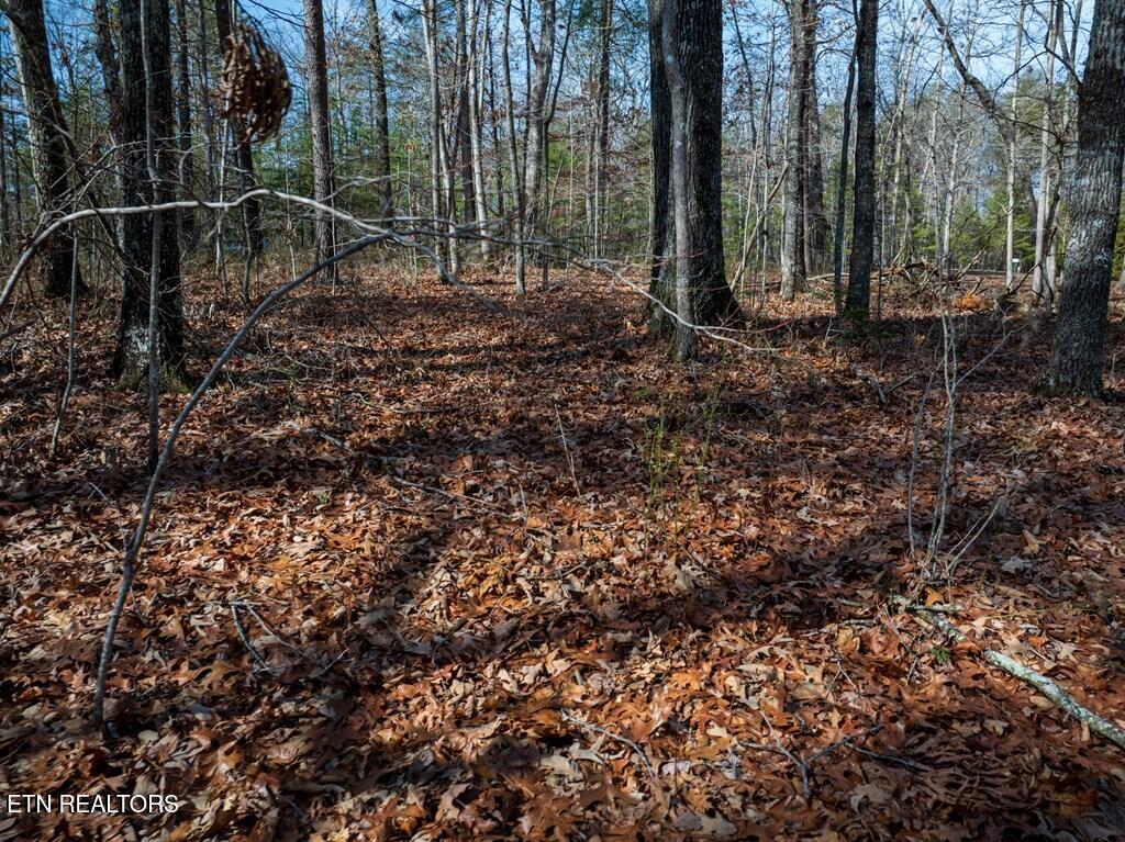 Lot 6 Forest View Drive Spencer TN 38585