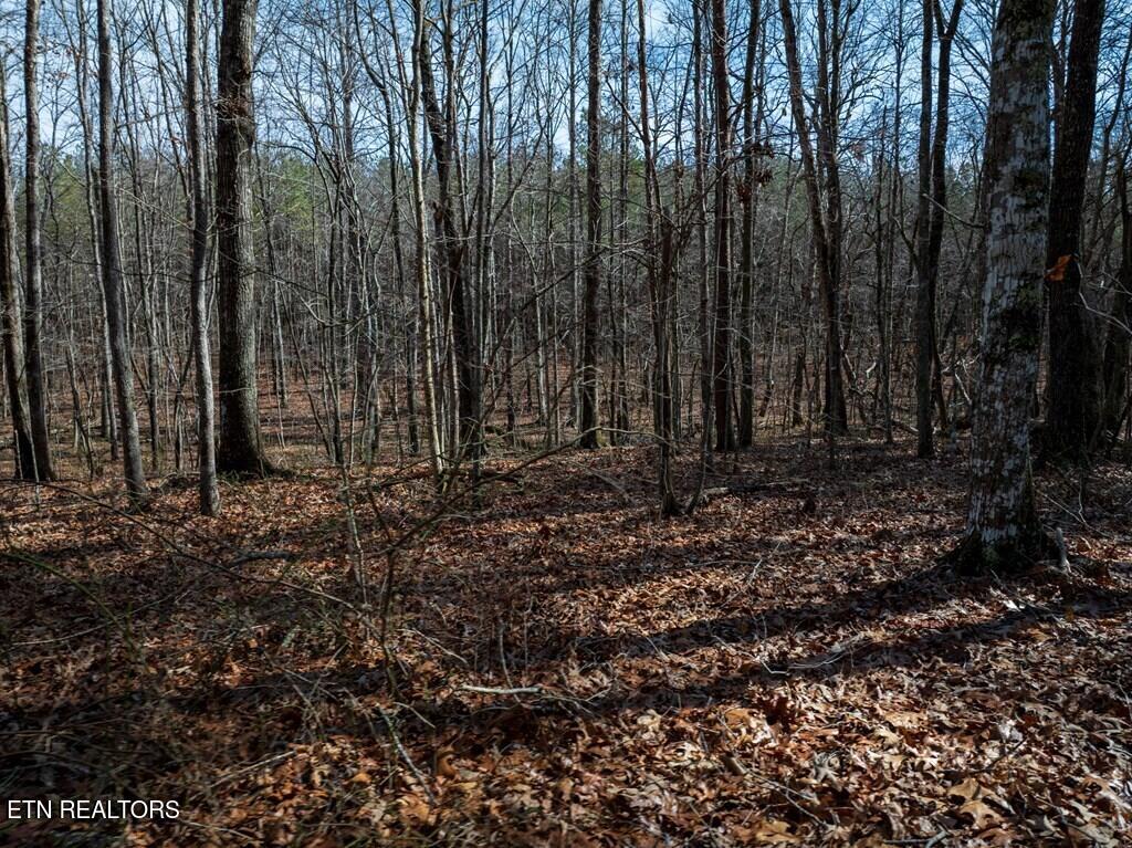 Lot 6 Forest View Drive Spencer TN 38585