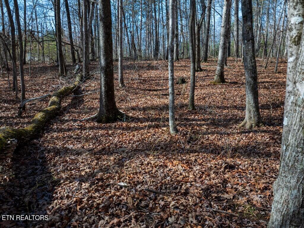Lot 6 Forest View Drive Spencer TN 38585