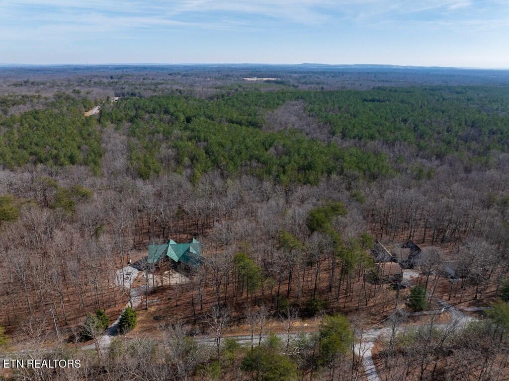 Lot 6 Forest View Drive Spencer TN 38585