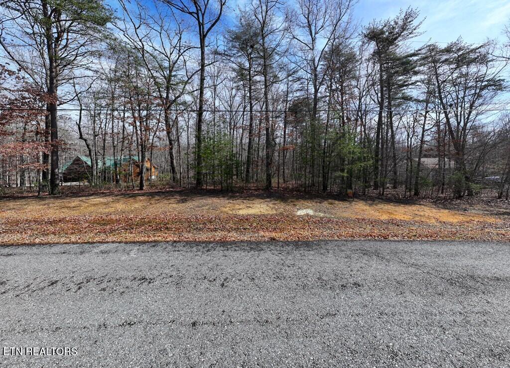 Lot 6 Forest View Drive Spencer TN 38585