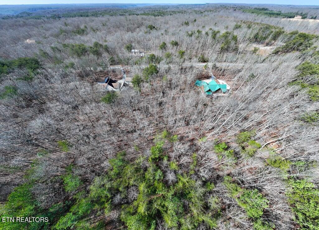 Lot 6 Forest View Drive Spencer TN 38585