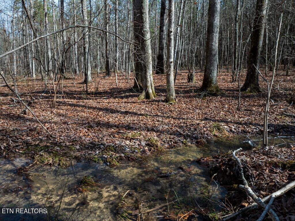 Lot 6 Forest View Drive Spencer TN 38585