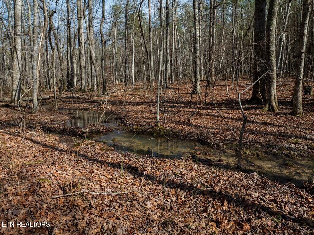 Lot 6 Forest View Drive Spencer TN 38585
