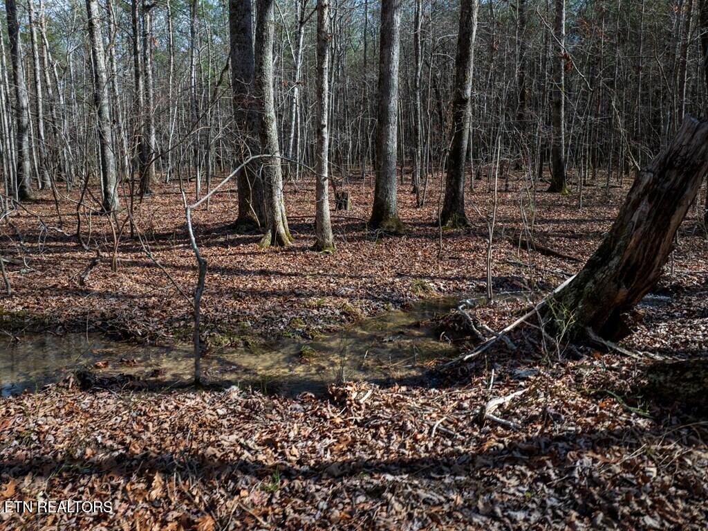 Lot 6 Forest View Drive Spencer TN 38585