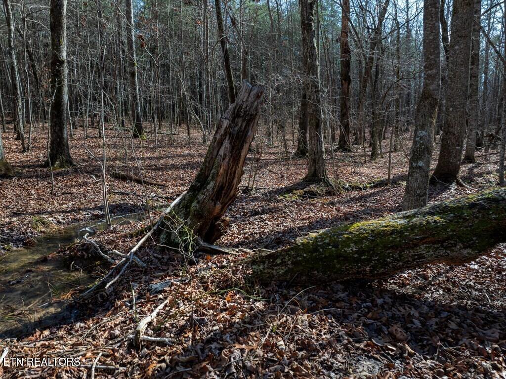 Lot 6 Forest View Drive Spencer TN 38585