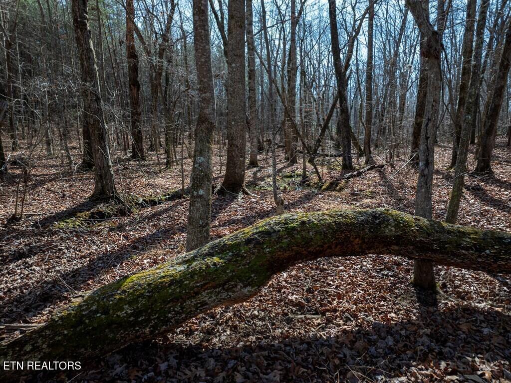 Lot 6 Forest View Drive Spencer TN 38585