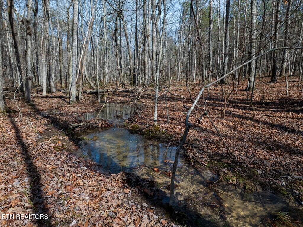 Lot 6 Forest View Drive Spencer TN 38585