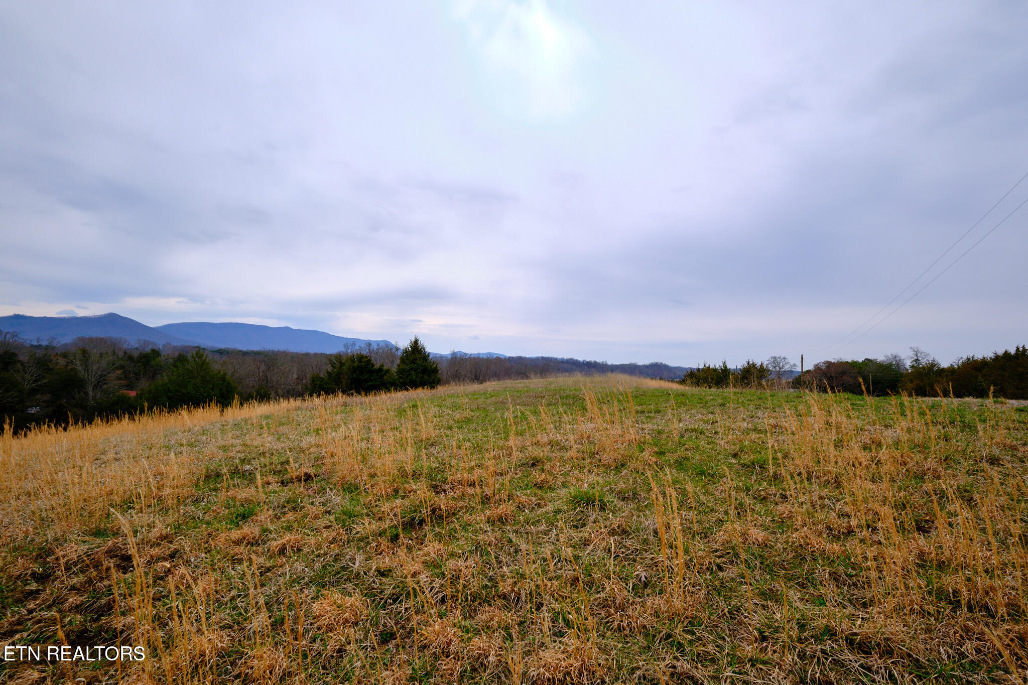 1440 Swannsylvania Road Dandridge TN 37725