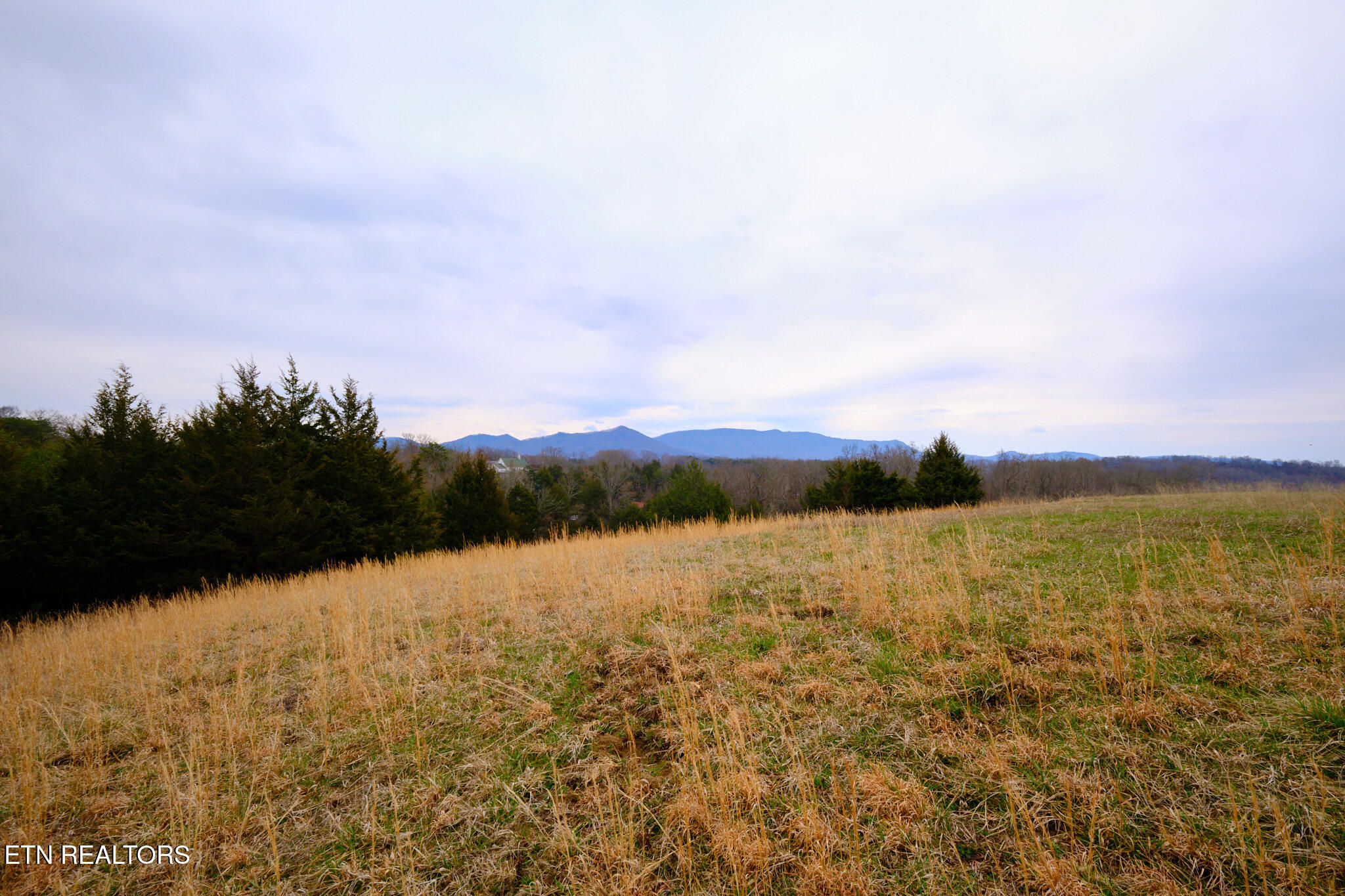 1440 Swannsylvania Road Dandridge TN 37725