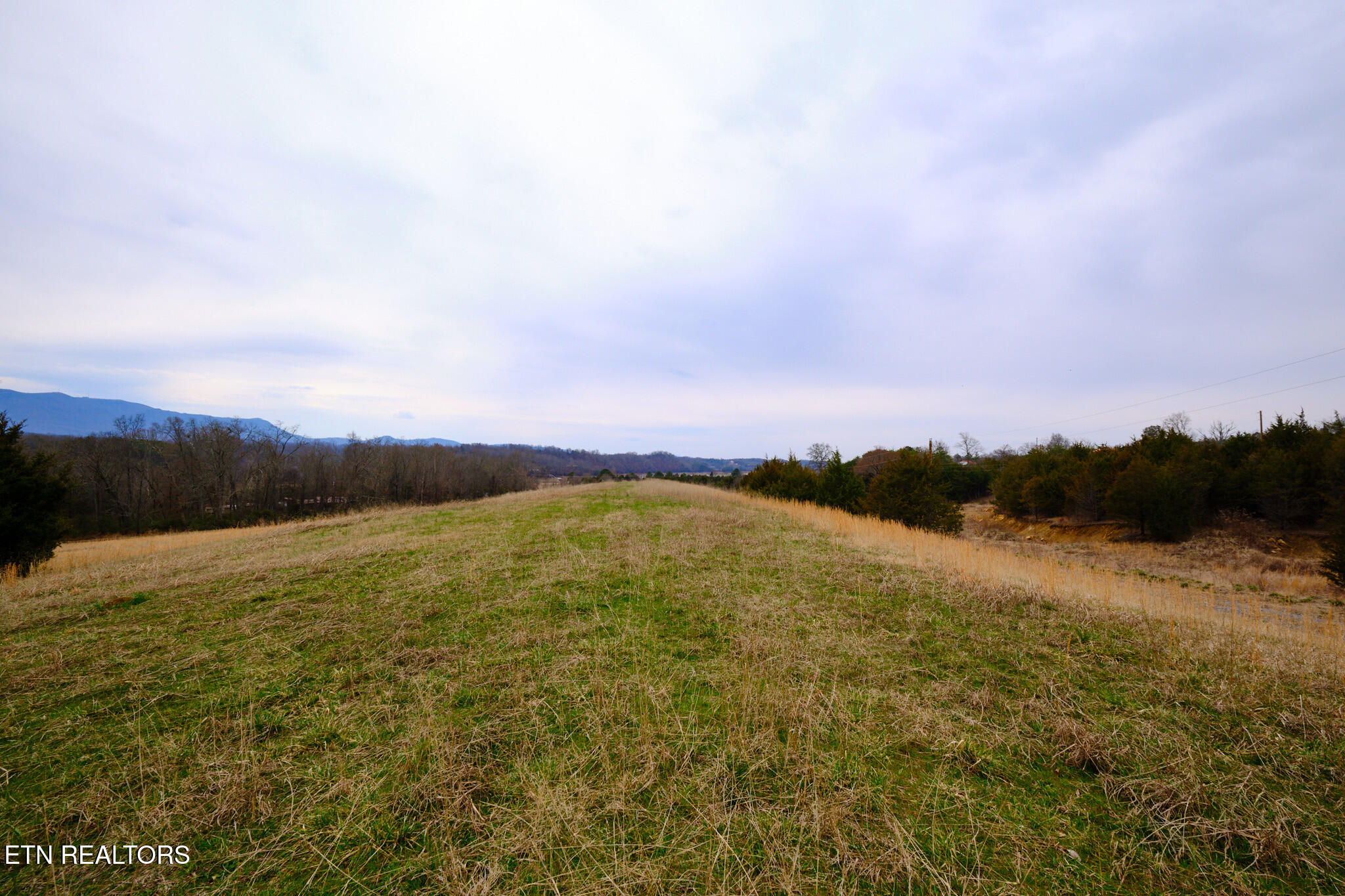 1440 Swannsylvania Road Dandridge TN 37725