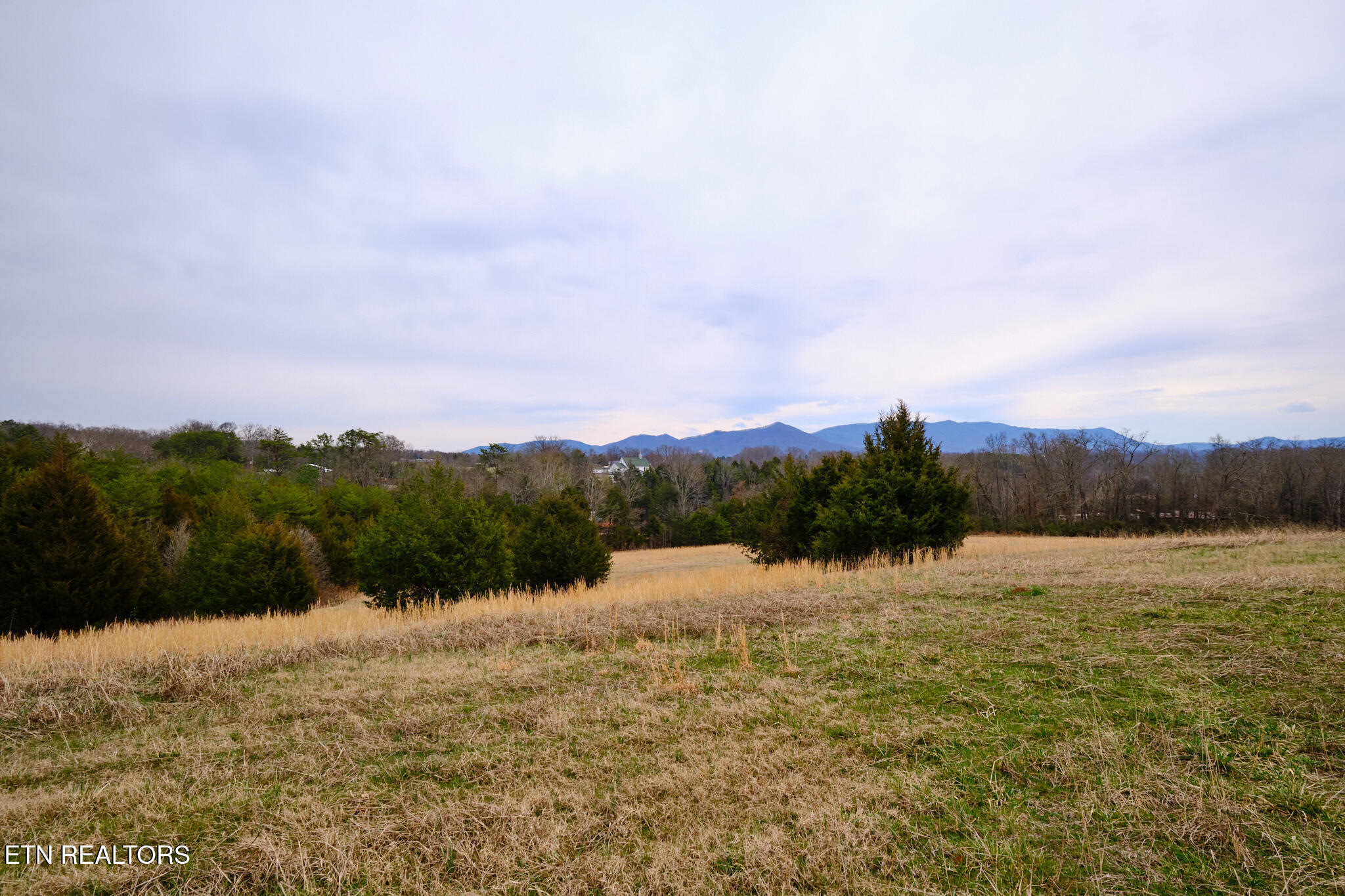1440 Swannsylvania Road Dandridge TN 37725